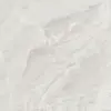 bone